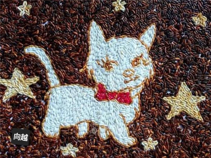 玩繪本:越南米粒拼貼藝術-親子體驗DIY